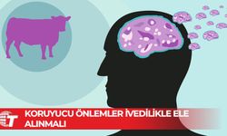 Veterinerler: Bir Kıbrıslı Türk'te deli dana tespit edildi!