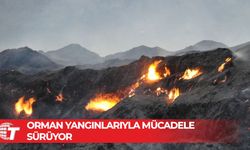 Mersin’in Silifke ve Anamur ilçelerindeki orman yangınlarına müdahale sürüyor