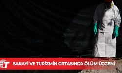 Meksika'nın Guanajuato eyaletinde 32 kişiye ait ceset kalıntıları bulundu
