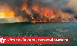 Fransa’daki orman yangınında Paris’ten daha büyük bir alan yok oldu