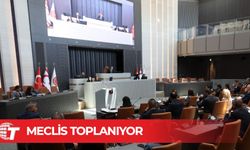 Meclis denetim göreviyle toplanacak