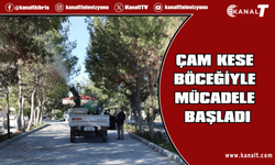 İskele Belediyesi’nin çam kese böceğiyle mücadelesi başladı