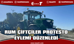 Rum çiftçiler AB tarım politikalarını protesto etti
