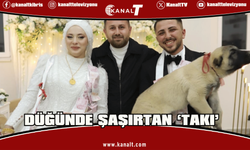 Denizli’de düğünde gelin ve damada takı yerine çoban köpeği hediye edildi