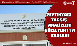 Zeytinyağı tağşiş analizleri Güzelyurt Tarımsal Araştırma İstasyonu’nda yapılmaya başlandı