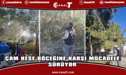 Mehmetçik-Büyükkonuk Belediyesi’nin çam kese böceğine karşı mücadelesi sürüyor