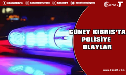 Kavga, bıçaklama, balta saldırısı, polise çarpma ve milyonluk dolandırıcılık