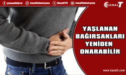 Kanser tedavisinde kullanılan bağışıklık yöntemi yaşlı bağırsakların onarımını hızlandırıyor