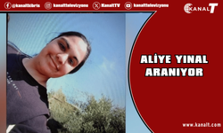 Aliye Yınal aranıyor