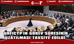 BM Güvelik Konseyi, Kıbrıs gündemiyle toplandı