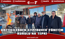Narenciye üreticilerinden Cypfruvex Yönetim Kurulu’na tepki