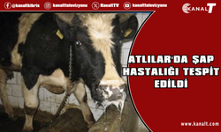 Gazimağusa Kaymakamı Keser: “Gerekli önlemler alındı”