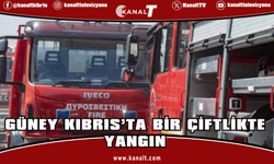 Binden fazla yeni doğmuş küçükbaş telef oldu