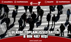 Hanehalkı İşgücü Anketi 2025 yılı II. çeyrek sonuçları açıklandı