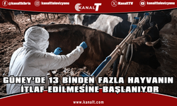 13 binden fazla hayvanın itlaf edilmesine başlanıyor