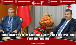 Cypfruvex Valanciya portakalın tonunu 19 bin TL’ye kadar satın alacak