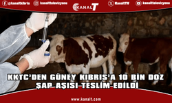 KKTC’den Güney Kıbrıs’a 10 Bin Doz Şap Aşısı Teslim Edildi