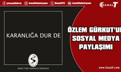 Sendika Başkanı Gürkut: Kamusal değerlerimiz peşkeş çekilemez.
