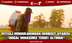 KTMMOB'ye bağlı Peyzaj Mimarları Odası ortak basın bildirisi yayınladı