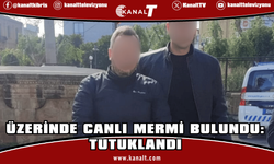 Üzerinde canlı mermi bulunan zanlı tutuklandı