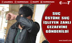 Askıda üç meselesi daha varken bir daha suç işledi