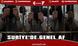 Suriye’de genel af: Müebbetler 20 yıla indirilecek, bazı suçlar tamamen affedilecek