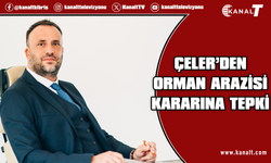 Zeki Çeler'den orman kararına sert tepki: Bu coğrafyaya ihanettir