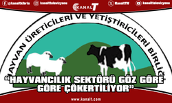 Hayvan Üreticileri Ve Yetiştiricileri Birliği acil önlem çağrısı yaptı