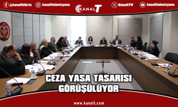 Hukuk, Siyasi İşler, Dışilişkiler ve Savunma Komitesi, Ceza (Değişiklik) Yasa Tasarısı’nı görüştü