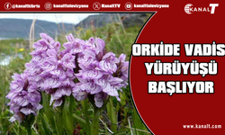 "14. Geleneksel Orkide Vadisi Gözlem Yürüyüşü" pazar günü yapılacak