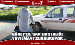 Güney Kıbrıs’ta şap hastalığı yayılmayı sürdürüyor
