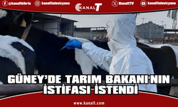 Rum hayvancılar şap hastalığı nedeniyle itlaflara tepkili