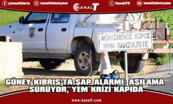 Güney Kıbrıs şap hastalığıyla ilgili ktirik eşikte