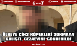 Sahte belgeyle ülkeye cins köpekleri sokmaya çalıştı
