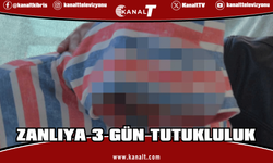 Park Halindeki Araçta Yakalanan Zanlı Gözaltında