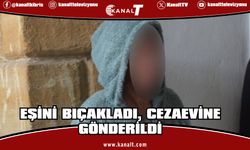Boşanma aşamasında olduğu eşini bıçakla yaraladı