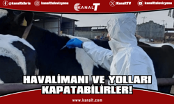 Güney Kıbrıs’ta hayvancılardan eylem uyarısı