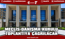 Meclis Danışma Kurulu toplantıya çağrılacak