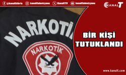 Evde 26 Kök Hintkeneviri Ele Geçirildi