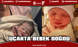 Delta uçağında beklenmedik misafir: Uçakta bebek doğdu