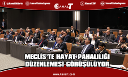 Genel Kurul’da hayat pahalılığı ödeneği uygulamasının yeniden düzenlenmesini öngören yasa tasarıları görüşülüyor