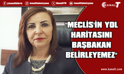 Emine Dizdarlı’dan Meclis açıklaması: Başbakan'ın Meclis idaresine ilişkin yetkisi yoktur