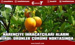 Narenciye İhracatçı Birlikleri: Grev nedeniyle bekletilen ürünler bozulmadan çözüm gerekiyor