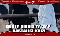 İki toplumlu komitede yeniden diyalog gündemde