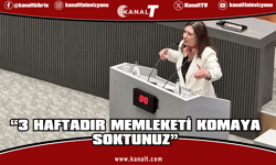 Sıla Usar İncirli: “3 haftadır memleketi komaya soktunuz”