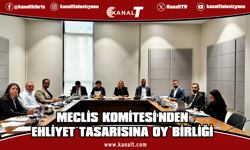Hukuk, Siyasi İşler, Dışilişkiler ve Savunma Komitesi toplandı
