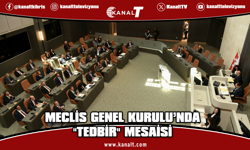 Meclis'te ekonomik tedbirler, tarım, erken seçim ve dijitalleşme konuşuldu