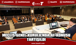 Mecliste Muhaceret Affı Tartışması: Herkesi Affedeceğiz Söylemi Gerçeği Yansıtmıyor