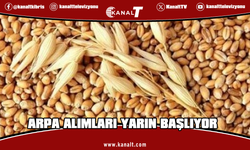 KTÇB: Üreticiler yarından itibaren arpa ürünlerini TÜK şubelerine ulaştırabilecek