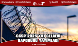 Belçika'daki Cezaevi Denetim Konseyi: Cezaevlerindeki aşırı doluluk insani kriz boyutlarına ulaştı